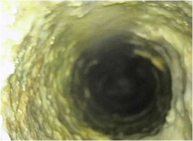 内視鏡調査管内写真　排水管　給水管