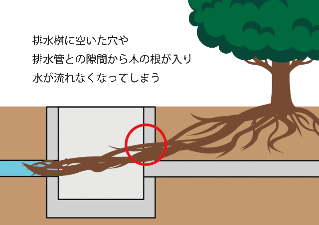 排水桝や排水管に木の根が侵入しているイラスト