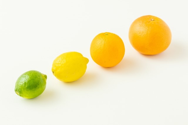 柑橘系の写真